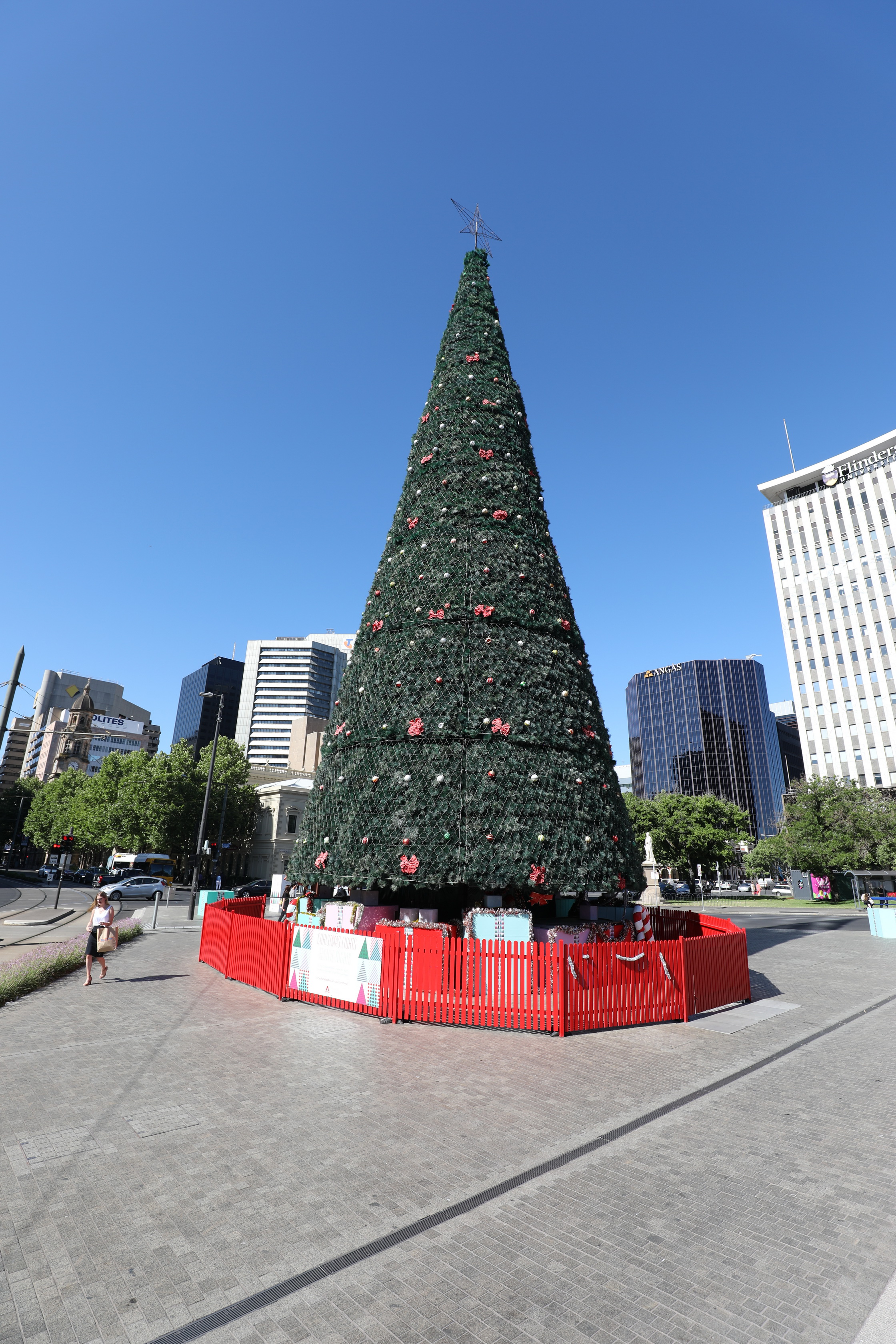 2019 12 12 16 53 22 Canon EOS 5D Mark IV 0015